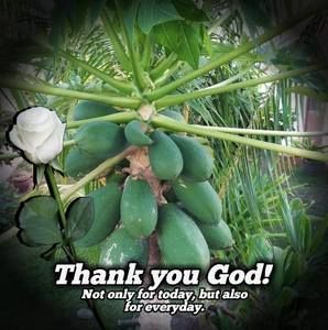 Meet your Posher, Kaina